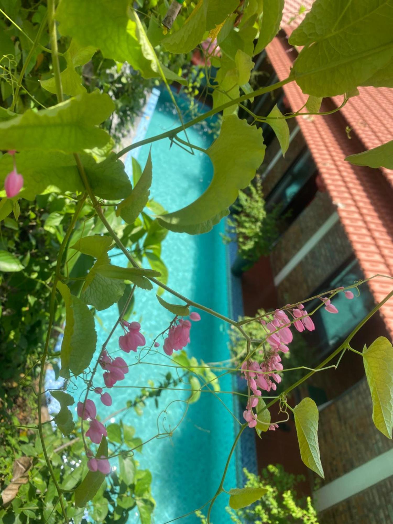 Sunshine Villa Thuy Bieu Hue Exterior photo